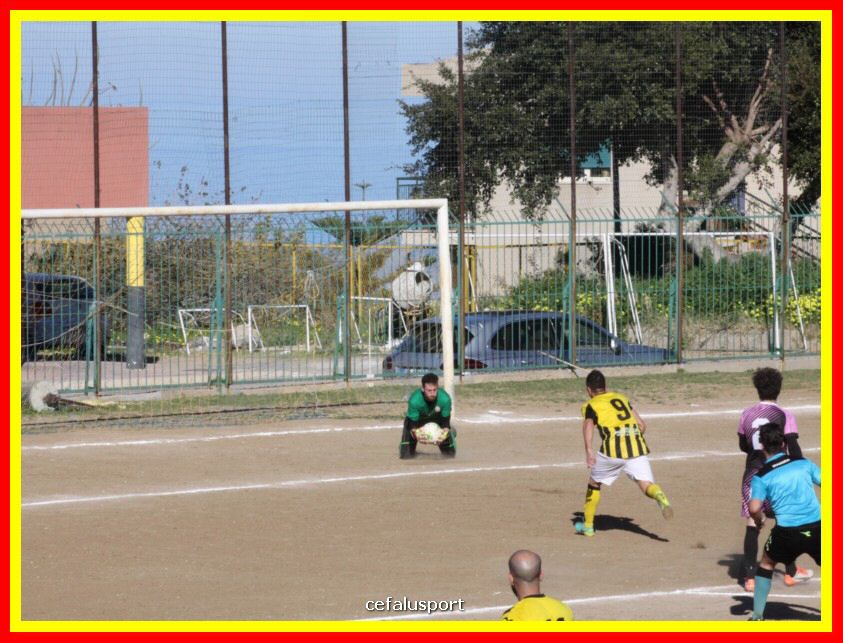 190310 Cephal_Torrenov 100_tn.jpg